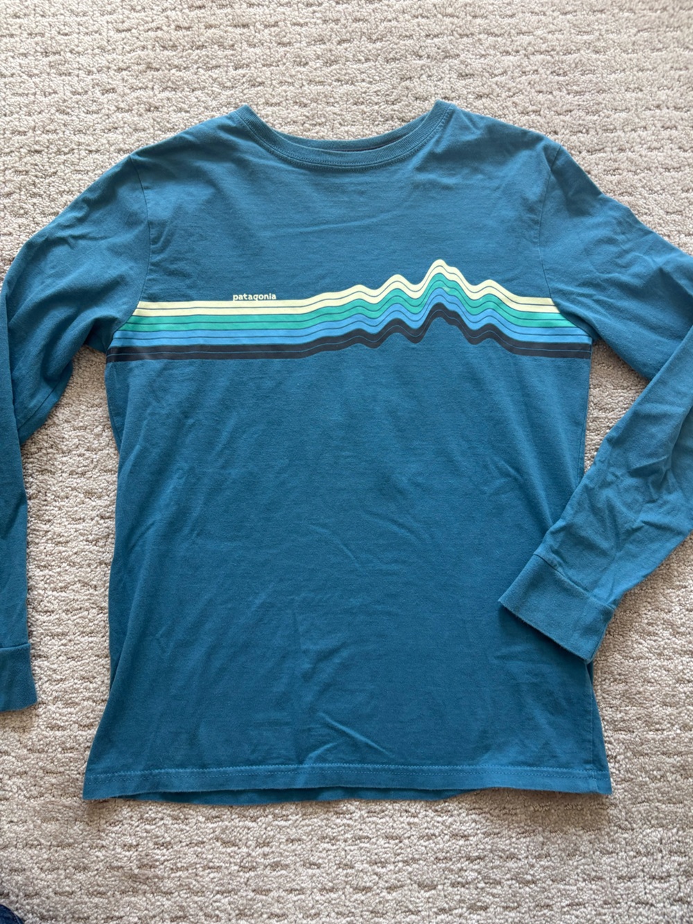 Boys L Large 12 Patagonia Long Sleeve Blue Green Shirt Organic Cotton Logo Tee L